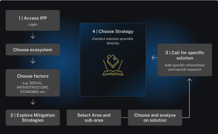 Innovative Solutions <br /> (IPP)